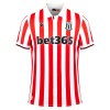 Camiseta de fútbol Stoke City Primera Equipación 23-24 - Hombre